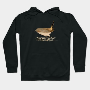 Watercolor house wren Hoodie